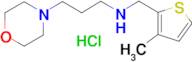 (3-Methyl-thiophen-2-ylmethyl)-(3-morpholin-4-yl-propyl)-amine;hydrochloride