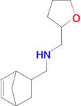Bicyclo[2.2.1]hept-5-en-2-ylmethyl-(tetrahydro-furan-2-ylmethyl)-amine