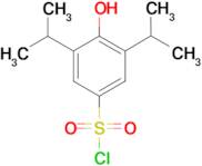 4-Hydroxy-3,5-diisopropyl-benzenesulfonylchloride