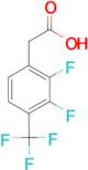 (2,3-Difluoro-4-trifluoromethyl-phenyl)-acetic acid