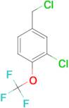 3-Chloro-4-Trifluoromethoxy-benzylchloride