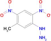 (5-Methyl-2,4-dinitro-phenyl)-hydrazine