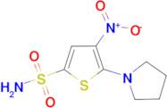 4-Nitro-5-pyrrolidin-1-yl-thiophene-2-sulfonic acidamide