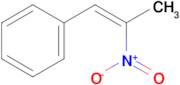 (2-Nitro-propenyl)-benzene