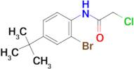 N-(2-Bromo-4-tert-butyl-phenyl)-2-chloro-acetamide