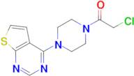 2-Chloro-1-(4-thieno[2,3-d]pyrimidin-4-yl-piperazin-1-yl)-ethanone