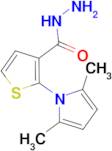 2-(2,5-Dimethyl-pyrrol-1-yl)-thiophene-3-carboxylic acidhydrazide