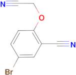 5-Bromo-2-cyanomethoxy-benzonitrile