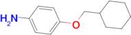 4-Cyclohexylmethoxy-phenylamine