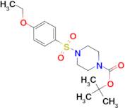 4-(4-Ethoxy-benzenesulfonyl)-piperazine-1-carboxylic acid tert-butyl ester