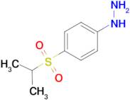 4-ISOPROPYLSULFONYLPHENYLHYDRAZINE