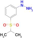 3-ISOPROPYLSULFONYLPHENYLHYDRAZINE