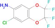 7-Chloro-2,2,3,3-tetrafluoro-2,3-dihydro-benzo[1,4]dioxin-6-ylamine