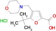 5-tert-Butyl-4-morpholin-4-ylmethyl-furan-2-carboxylic acid; hydrochloride