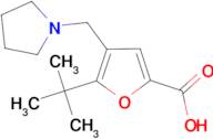 5-tert-Butyl-4-pyrrolidin-1-ylmethyl-furan-2-carboxylic acid