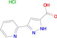 3-Pyridin-2-yl-1H-pyrazole-5-carboxylic acid hydrochloride