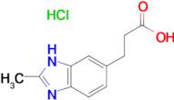 3-(2-Methyl-1H-benzoimidazol-5-yl)-propionic acid; hydrochloride