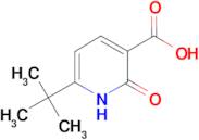 6-tert-Butyl-2-oxo-1,2-dihydro-pyridine-3-carboxylic acid