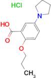 2-Propoxy-5-pyrrolidin-1-yl-benzoic acid; hydrochloride