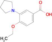 4-Ethoxy-3-pyrrolidin-1-yl-benzoic acid