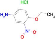 4-ETHOXY-3-NITRO-PHENYLAMINE, HYDROCHLORIDE