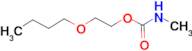 METHYL-CARBAMIC ACID 2-BUTOXY-ETHYL ESTER