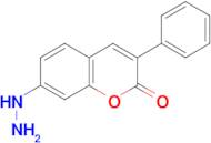 7-HYDRAZINO-3-PHENYL-CHROMEN-2-ONE