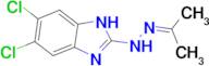 N-(5,6-DICHLORO-1H-BENZOIMIDAZOL-2-YL)-N'-ISOPROPYLIDENE-HYDRAZINE