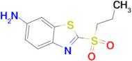 2-(PROPANE-1-SULFONYL)-BENZOTHIAZOL-6-YLAMINE