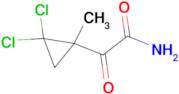 2-(2,2-DICHLORO-1-METHYL-CYCLOPROPYL)-2-OXO-ACETAMIDE