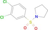 1-(3,4-DICHLORO-BENZENESULFONYL)-PYRROLIDINE