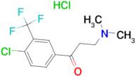 1-(4-CHLORO-3-TRIFLUOROMETHYL-PHENYL)-3-DIMETHYLAMINO-PROPAN-1-ONE, HYDROCHLORIDE