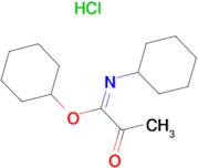 N-Cyclohexyl-2-oxo-propionimidic acid cyclohexyl ester; hydrochloride