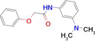 N-(3-Dimethylamino-phenyl)-2-phenoxy-acetamide