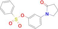 Benzenesulfonic acid 3-(2-oxo-pyrrolidin-1-yl)-phenyl ester