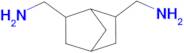 C-(6-Aminomethyl-bicyclo[2.2.1]hept-2-yl)-methylamine