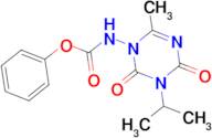 (3-Isopropyl-6-methyl-2,4-dioxo-3,4-dihydro-2H-[1,3,5]triazin-1-yl)-carbamic acid phenyl ester