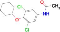 N-(3,5-Dichloro-4-cyclohexyloxy-phenyl)-acetamide