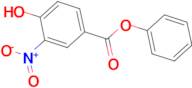 4-Hydroxy-3-nitro-benzoic acid phenyl ester