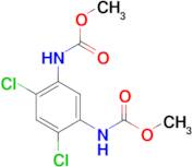 (2,4-Dichloro-5-methoxycarbonylamino-phenyl)-carbamic acid methyl ester