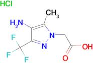 [4-amino-5-methyl-3-(trifluoromethyl)-1H-pyrazol-1-yl]acetic acid; hydrochloride