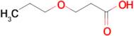 3-Propoxy-propionic acid