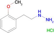 [2-(2-Methoxy-phenyl)-ethyl]-hydrazine;hydrochloride