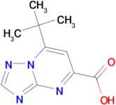 7-tert-Butyl-[1,2,4]triazolo[1,5-a]pyrimidine-5-carboxylic acid