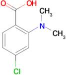 4-Chloro-2-dimethylamino-benzoic acid