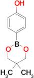 4-(5,5-Dimethyl-1,3,2-dioxaborinan-2-yl)phenol