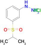 [3-(Propane-2-sulfonyl)-phenyl]-hydrazine; hydrochloride