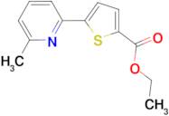 Ethyl 5-(6-methylpyridin-2-yl)thiophene-2-carboxylate