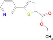 Ethyl 5-(pyridin-3-yl)thiophene-2-carboxylate