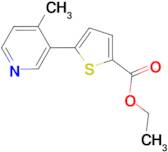 Ethyl 5-(4-methylpyridin-3-yl)thiophene-2-carboxylate